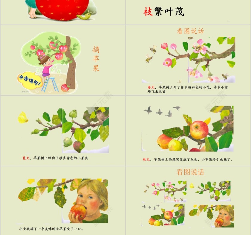 特色识字8——谢谢你，小苹果幼小衔接教学课件PPT模板第6张