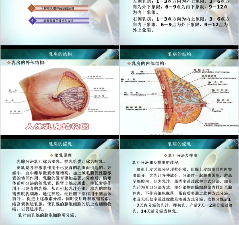 简约清新催乳师教育培训PPT模板第2张