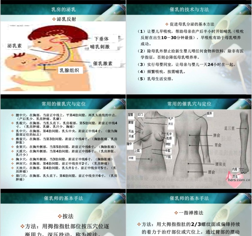 简约清新催乳师教育培训PPT模板第3张