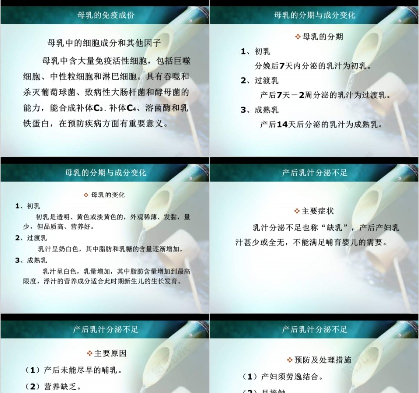 简约清新催乳师教育培训PPT模板第5张