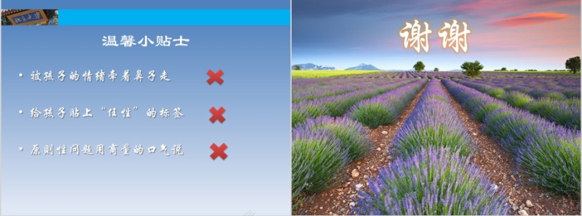 成功家庭教育课程和任性的孩子过招第7张