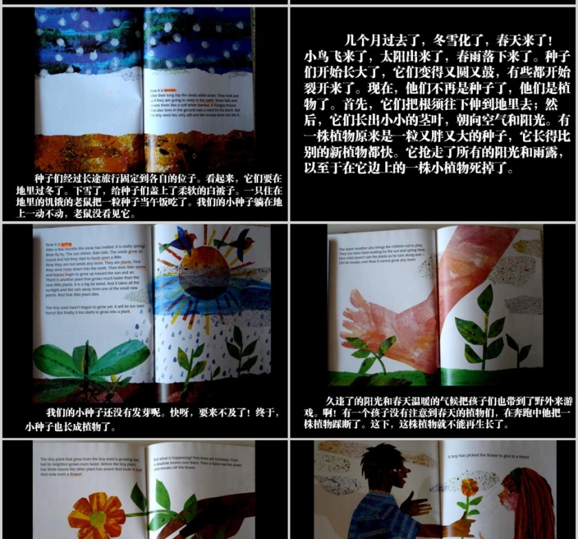 小种子幼儿绘本教育课件 第3张