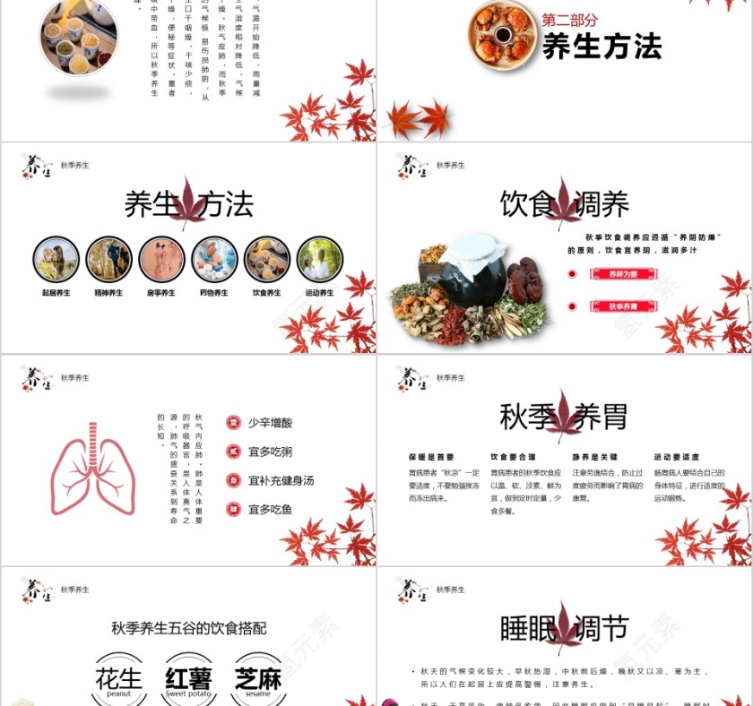 简单清新秋季养生讲座ppt模板第2张