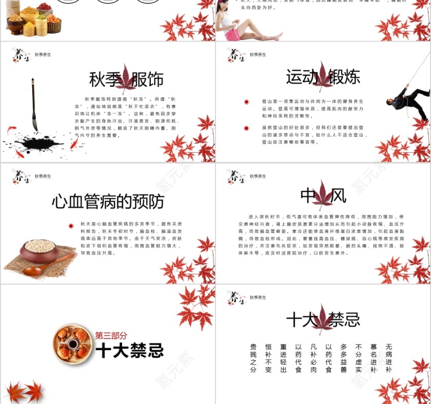 简单清新秋季养生讲座ppt模板第3张