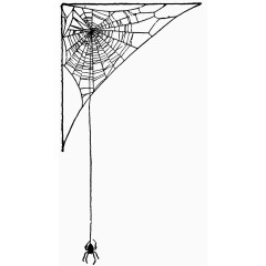 手绘蜘蛛网图案 蜘蛛网和蜘蛛