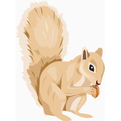 矢量手绘可爱松鼠
