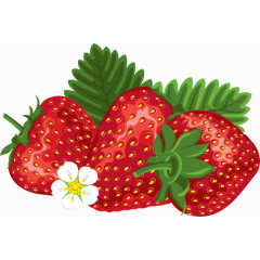 手绘草莓