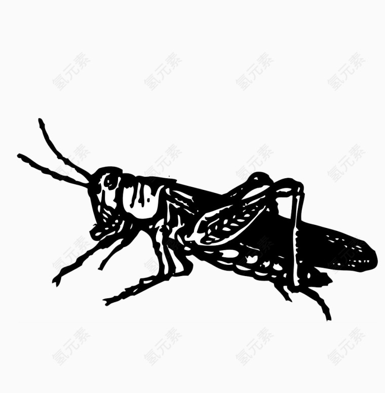 卡通手绘蝗虫
