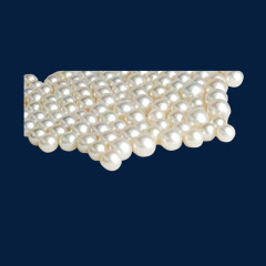 许多美丽的珍珠