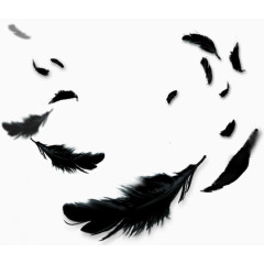 黑色羽毛