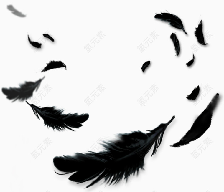 黑色羽毛