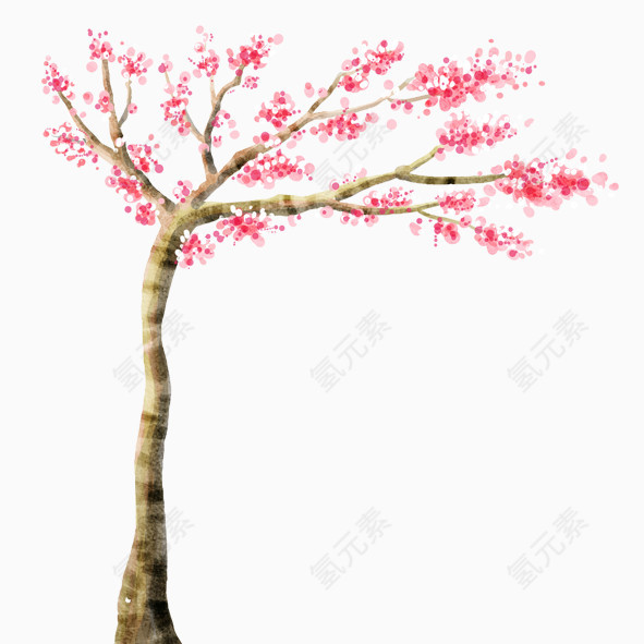 樱花树
