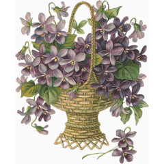 花饰图片手绘花素材