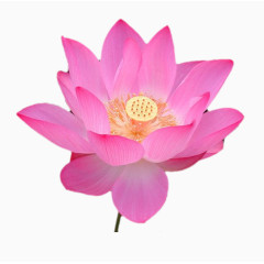 装饰图案素材手绘古风装饰