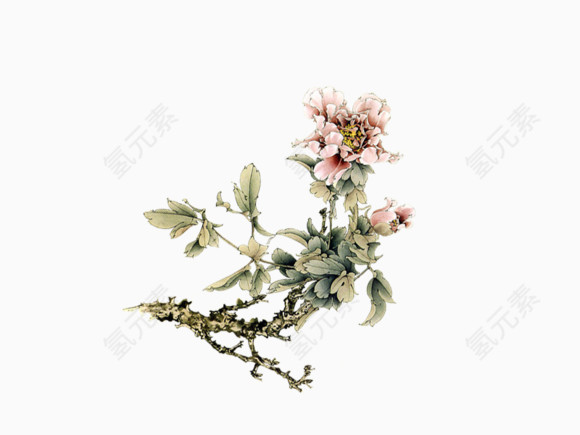 古典花瓣