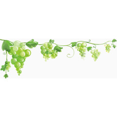 青葡萄水彩卡通手绘装饰元素