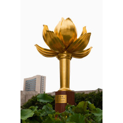 金莲花广场景点