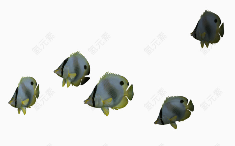 3D