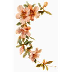 效果元素  花卉