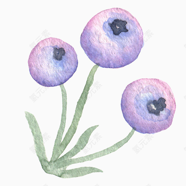 浮世绘蓝莓