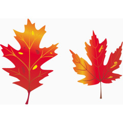 秋天红色的枫叶矢量免抠效果素材
