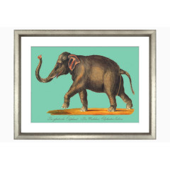 卡通挂画素材挂画矢量图