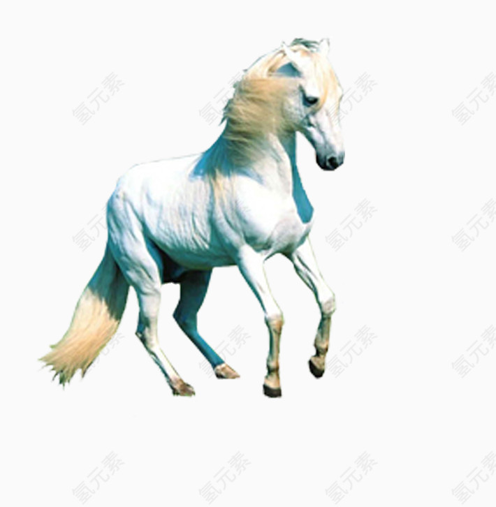 骏马素材免抠图片图形