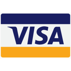 业务购买卡现金结帐信用捐赠金融金融支付付款签证付款方式