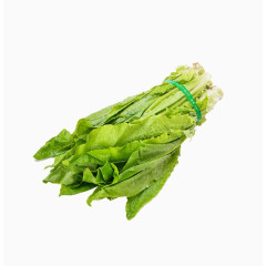 青菜油麦菜图片素材