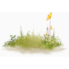 花朵绿草