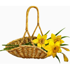 黄色花花篮
