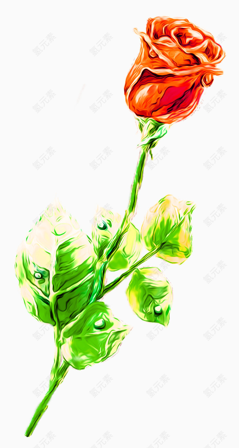 玫瑰花