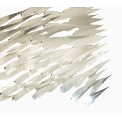 成群结队的小鱼儿