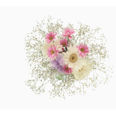 鲜花花卉国画花草素材
