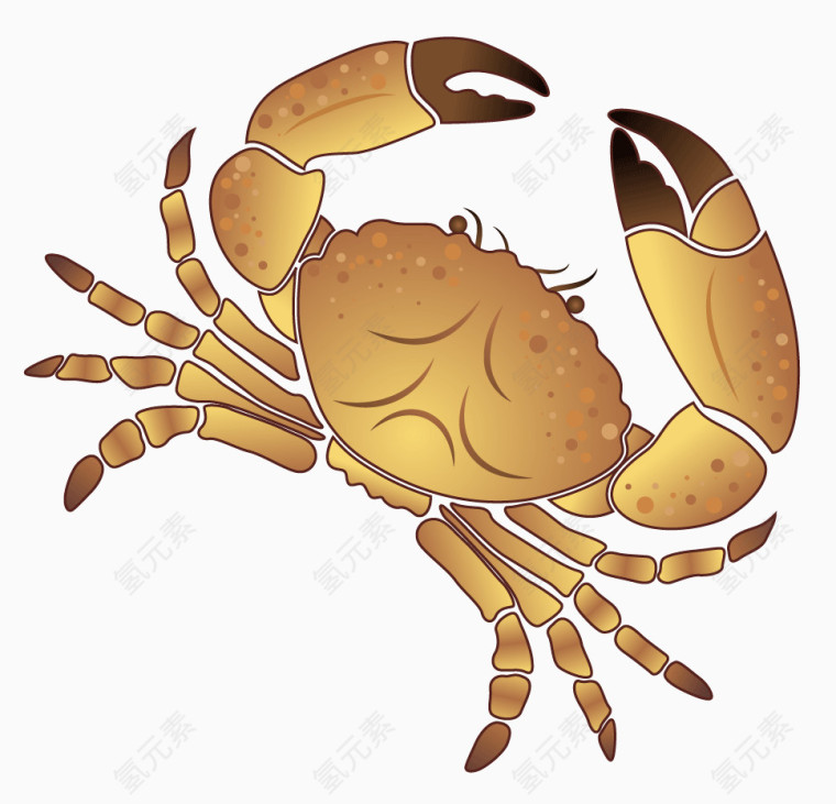 卡通手绘螃蟹png插画 