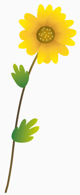 春暖花开