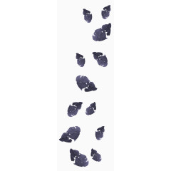 树叶飘落图片树叶图片