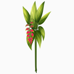 卡通热带植物