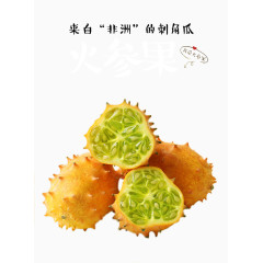 “非洲”刺角瓜
