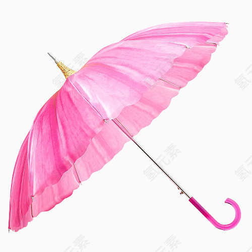 花瓣雨伞