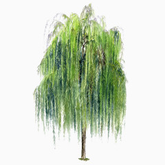 手绘树木图片绿色树木素材