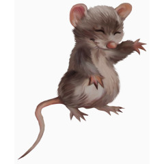 灰色小老鼠