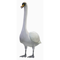 卡通虫鸟图片卡通虫鸟