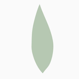 绿色的美元图标