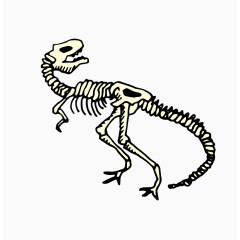 恐龙化石矢量手绘素材