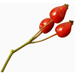 一串山里红山楂