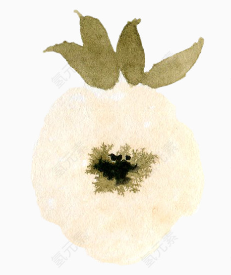 植物水彩画