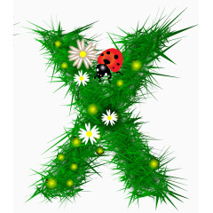 植物字母x