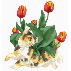 猫咪郁金香
