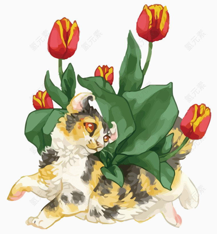 猫咪郁金香